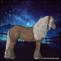 Horse Color:Silver Black 
