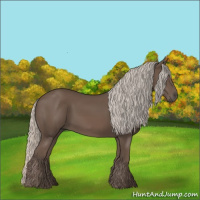 Horse Color:Silver Black 