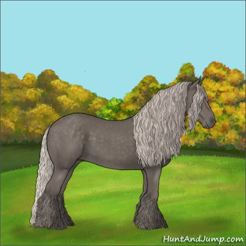 Horse Color:Silver Black