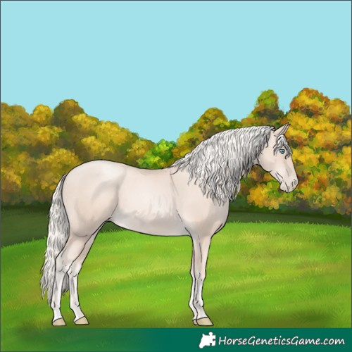 Horse Color:Gold Cream Champagne Pearl 