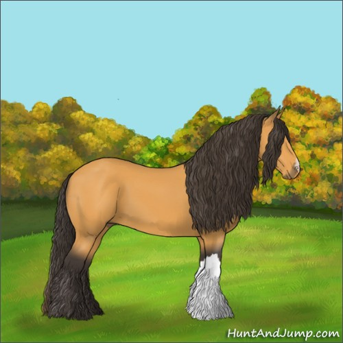 Horse Color:Buckskin 