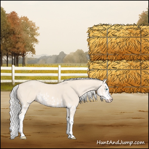 Horse Color:Cremello Splash  and Cremello Splash 