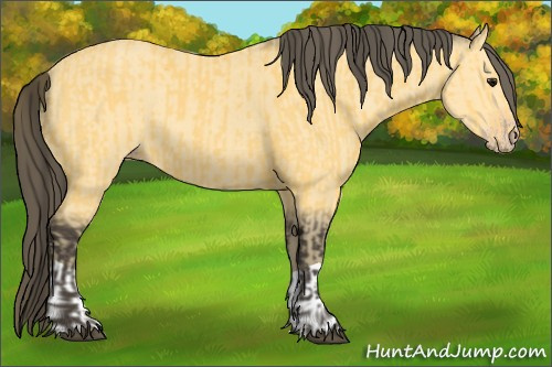 Horse Color:Buckskin  and Amber Cream Champagne 