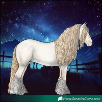Horse Color:Buckskin Roan Pearl and Buckskin Roan Pearl