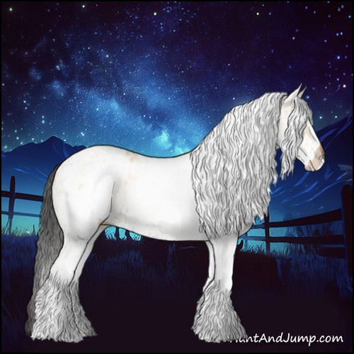 Horse Color:White Spotted Bay Dun Rabicano  and White Spotted Bay Dun Rabicano 