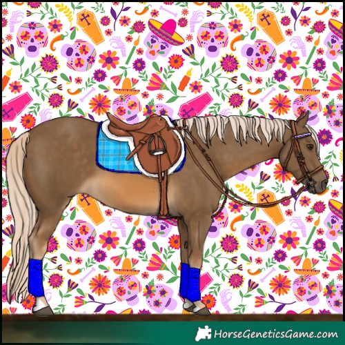 Horse Color:Chocolate Palomino 