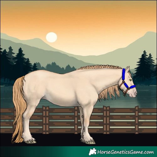 Horse Color:Gold Champagne Dun 