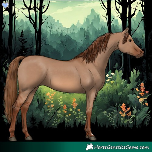 Horse Color:Red Dun 