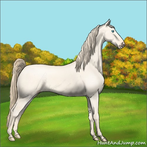 Horse Color:Perlino Dun 