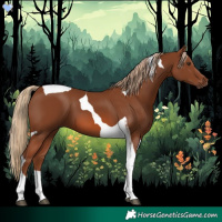 Horse Color:Chestnut Tobiano