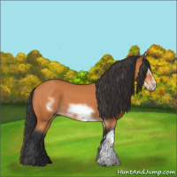 Horse Color:Bay Frame 