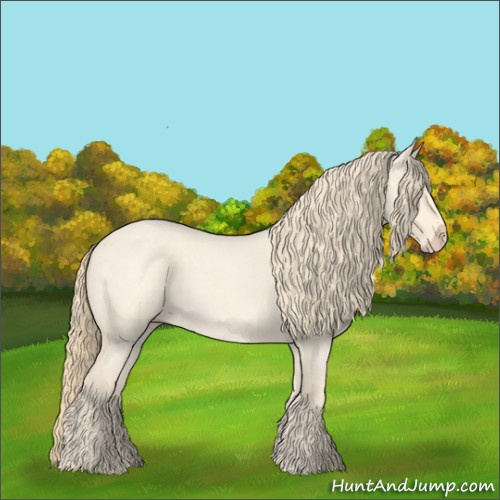 Horse Color:Perlino Roan 