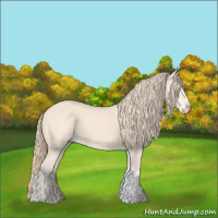 Horse Color:Perlino 