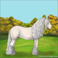 Horse Color:Cremello 