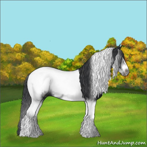 Horse Color:Black Tobiano Frame 