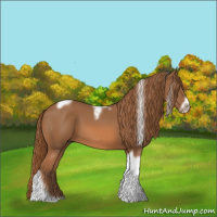 Horse Color:Chestnut Tobiano Frame 