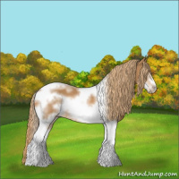 Horse Color:Chestnut Tobiano Frame