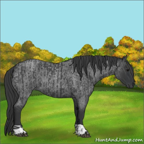 Horse Color:Blue Roan  and Blue Roan 