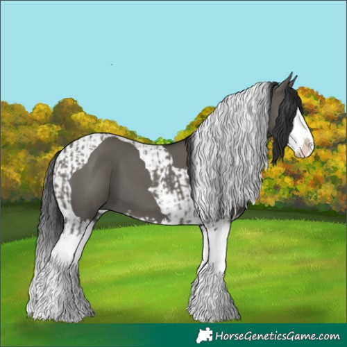 Horse Color:Grullo Sabino Splash and Grullo Sabino Splash Tobiano