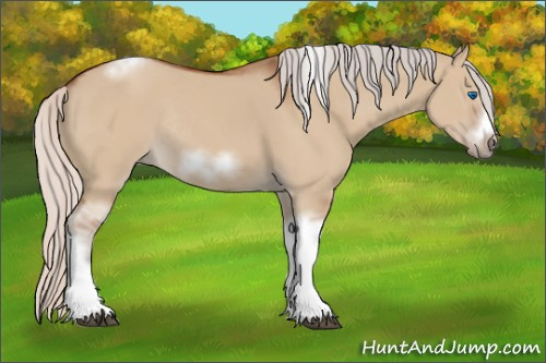 Horse Color:Silver Bay Dun Sabino Tobiano Frame Rabicano 