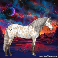 Horse Color:Silver Brown Dun Appaloosa 