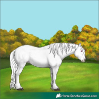 Horse Color:Silver Black Chinchilla Pearl Sabino