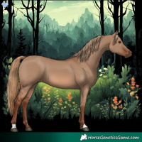 Horse Color:Red Dun 