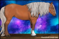 Horse Color:Silver Bay 