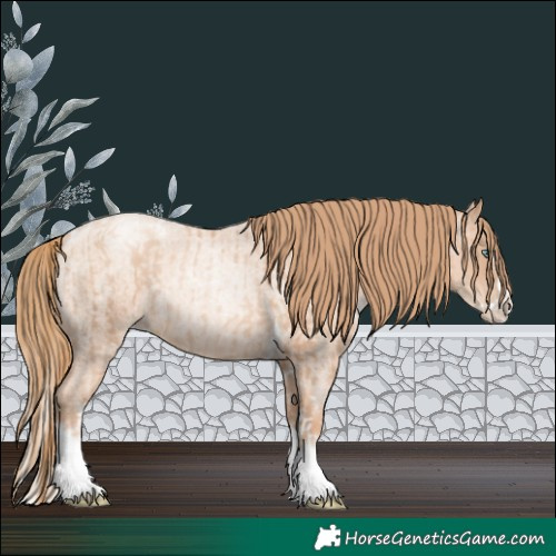 Horse Color:Gold Champagne Pearl Tobiano Rabicano  and Gold Champagne Roan Pearl Splash Rabicano 