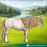 Horse Color:Gold Champagne Pearl Tobiano Rabicano  and Gold Champagne Roan Pearl Splash Rabicano 
