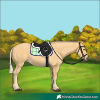 Horse Color:Palomino 