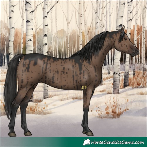 Horse Color:Liver Red Dun Brindle 