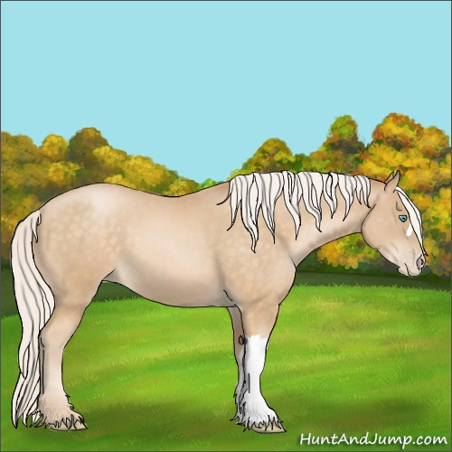 Horse Color:Silver Buckskin Pearl 