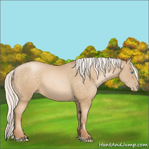 Horse Color:Silver Buckskin Pearl
