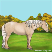 Horse Color:Silver Buckskin Pearl 