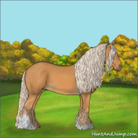 Horse Color:Palomino Tobiano 