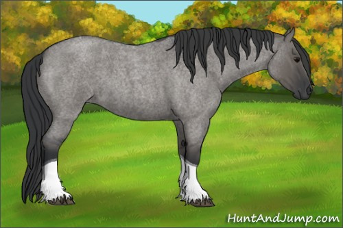 Horse Color:Grullo Roan Tobiano 