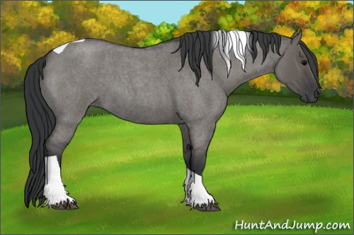 Horse Color:Grullo Roan Tobiano 