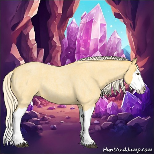 Horse Color:Palomino Roan Splash