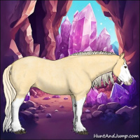 Horse Color:Palomino Roan Splash 