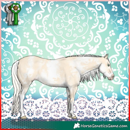 Horse Color:White Spotted Gold Cream Champagne Dun