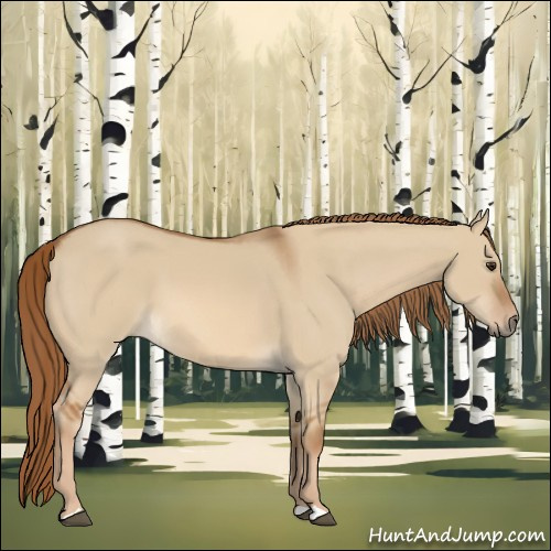 Horse Color:Red Dun