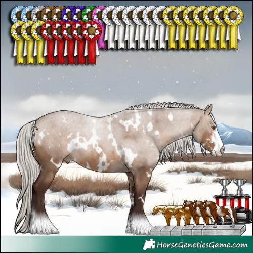 Horse Color:White Spotted Silver Brown Dun Sabino 