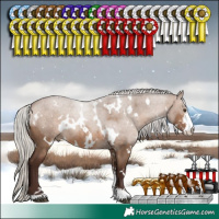 Horse Color:White Spotted Silver Brown Dun Sabino 