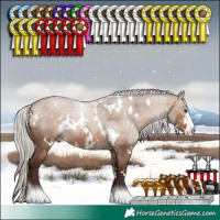 Horse Color:White Spotted Silver Brown Dun Sabino 