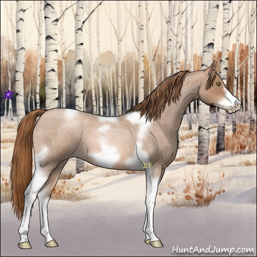 Horse Color:Liver Red Roan Pearl Tobiano Frame