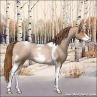 Horse Color:Liver Red Roan Pearl Tobiano Frame 