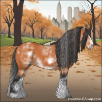 Horse Color:White Spotted Bay Sabino Frame 