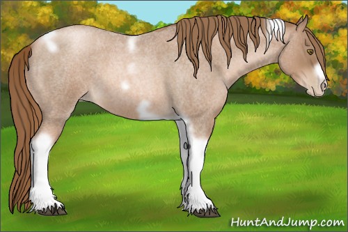 Horse Color:Liver Red Roan Pearl Tobiano Frame