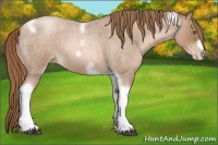 Horse Color:Liver Red Roan Pearl Tobiano Frame 